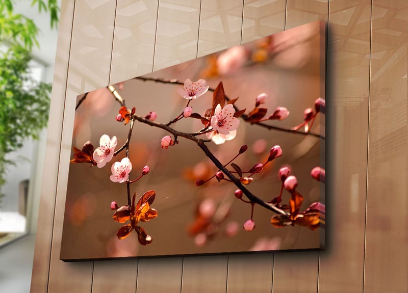 Lærred 70x100 cm - Blomstrende kirsebærgrene med lyserøde blomster og brune blade - Lyserød / Brun - Boligtilbehør - Billeder & kunst - Billeder på lærred