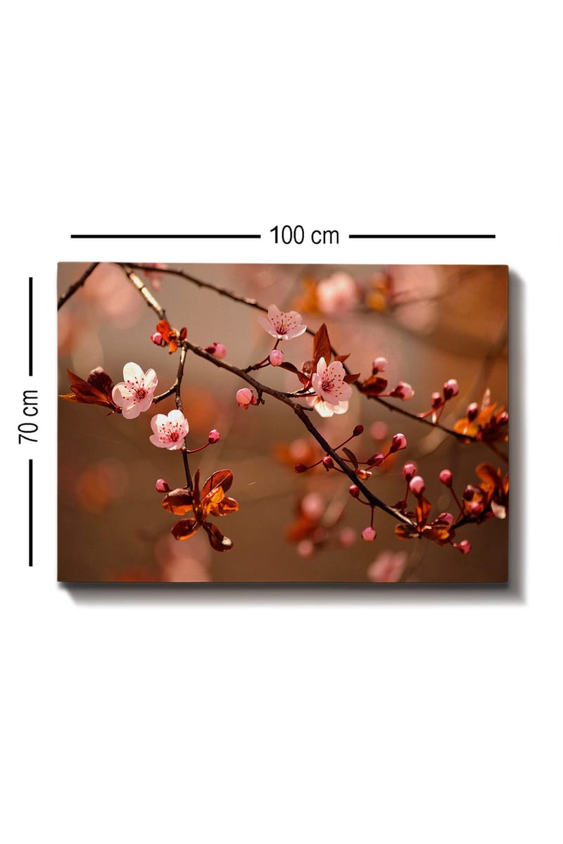 Lærred 70x100 cm - Blomstrende kirsebærgrene med lyserøde blomster og knopper - Lyserød / Brun / Mørkerød - Boligtilbehør - Billeder & kunst - Billeder på lærred
