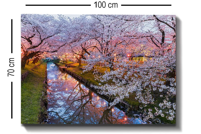 Lærred 70x100 cm - Blomstrende kirsebærtræer ved en stille kanal i skumringen - Lyserød / Hvid / Grøn - Boligtilbehør - Billeder & kunst - Billeder på lærred