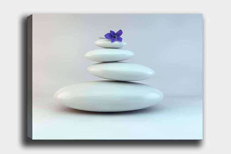 Lærred 70x100 cm - Bunke af hvide sten med en lilla blomst på toppen, Hvid / Lilla