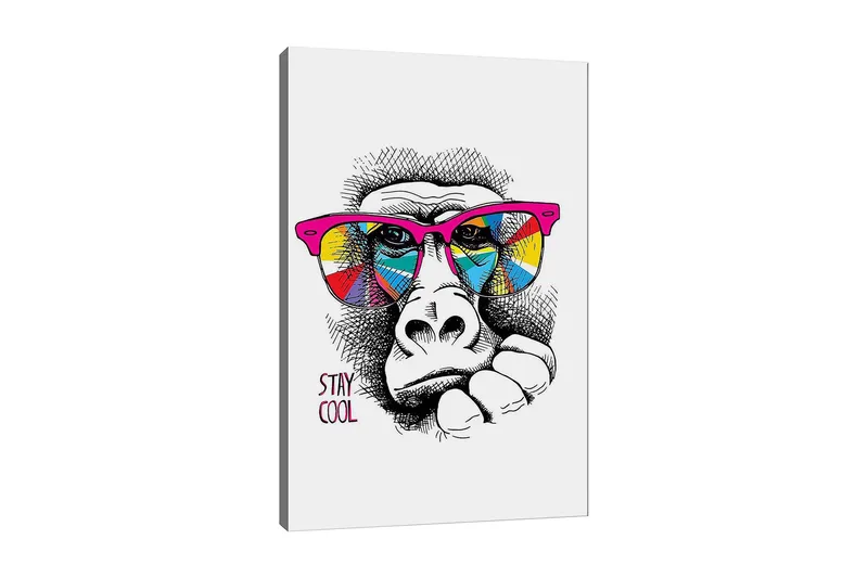 Lærred 70x100 cm - Cool gorilla med farverige solbriller, der udtrykker en afslappet attitude, Lyserød / Gul / Blå