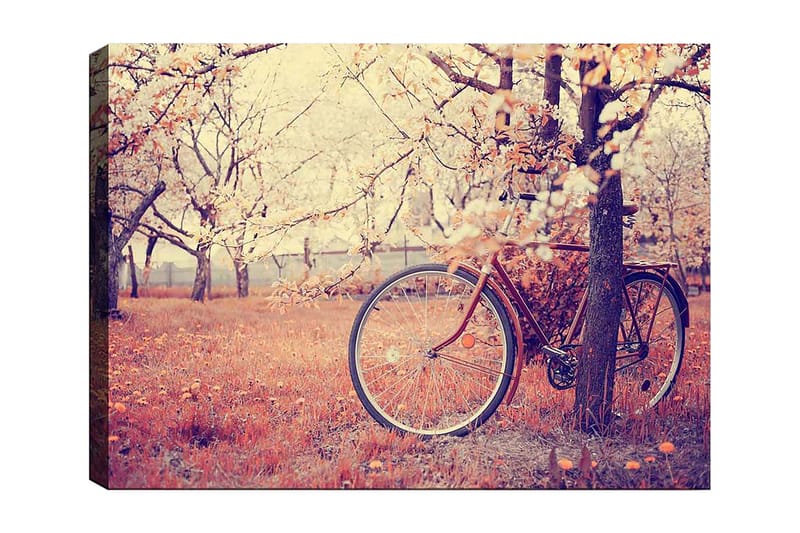 Lærred 70x100 cm - Cykel lænet op ad et træ i en blomstrende frugthave om foråret, Orange / Brun / Grå