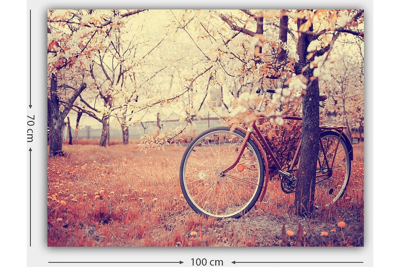 Lærred 70x100 cm - Cykel lænet op ad et træ i en blomstrende frugthave om foråret - Orange / Brun / Grå - Boligtilbehør - Billeder & kunst - Billeder på lærred