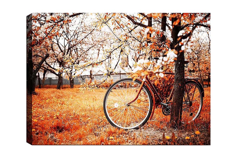 Lærred 70x100 cm - Cykel lænet op ad et træ i et efterårslandskab med orange og gule blade, Orange / Gul / Brun