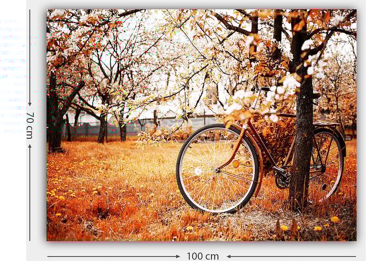 Lærred 70x100 cm - Cykel lænet op ad et træ i et efterårslandskab med orange og gule blade - Orange / Gul / Brun - Boligtilbehør - Billeder & kunst - Billeder på lærred