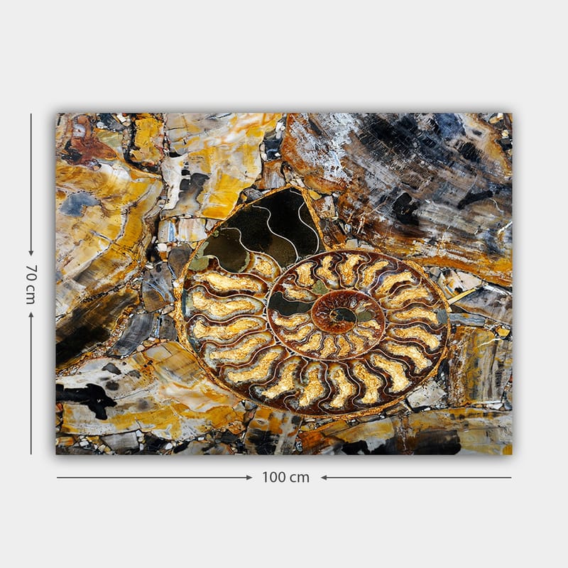 Lærred 70x100 cm - Detaljeret afbildning af en snegl med spiralstruktur - Guld / Brun / Sort - Boligtilbehør - Billeder & kunst - Billeder på lærred