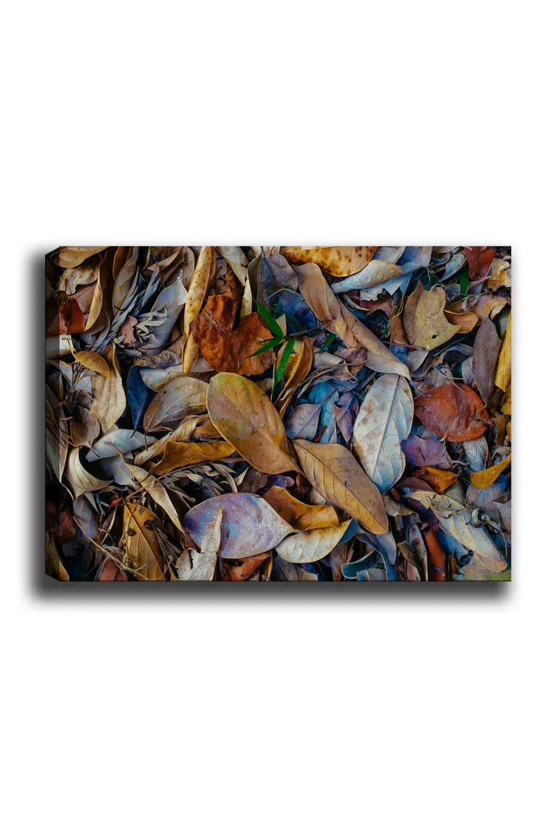 Lærred 70x100 cm - Detaljeret samling af tørrede blade i forskellige nuancer, der skaber en naturlig tekstur, Brun / Beige / Grøn