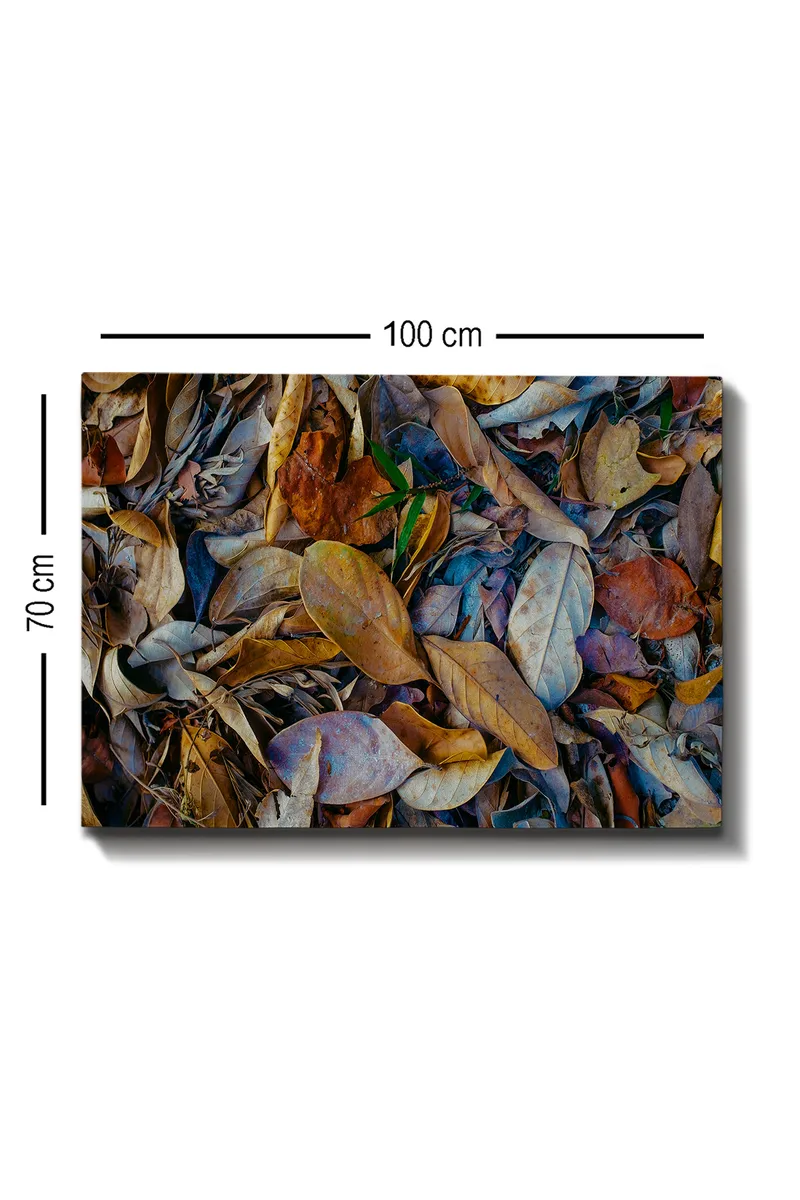 Lærred 70x100 cm - Detaljeret samling af tørrede blade i forskellige nuancer, der skaber en naturlig tekstur - Brun / Beige / Grøn - Boligtilbehør - Billeder & kunst - Billeder på lærred