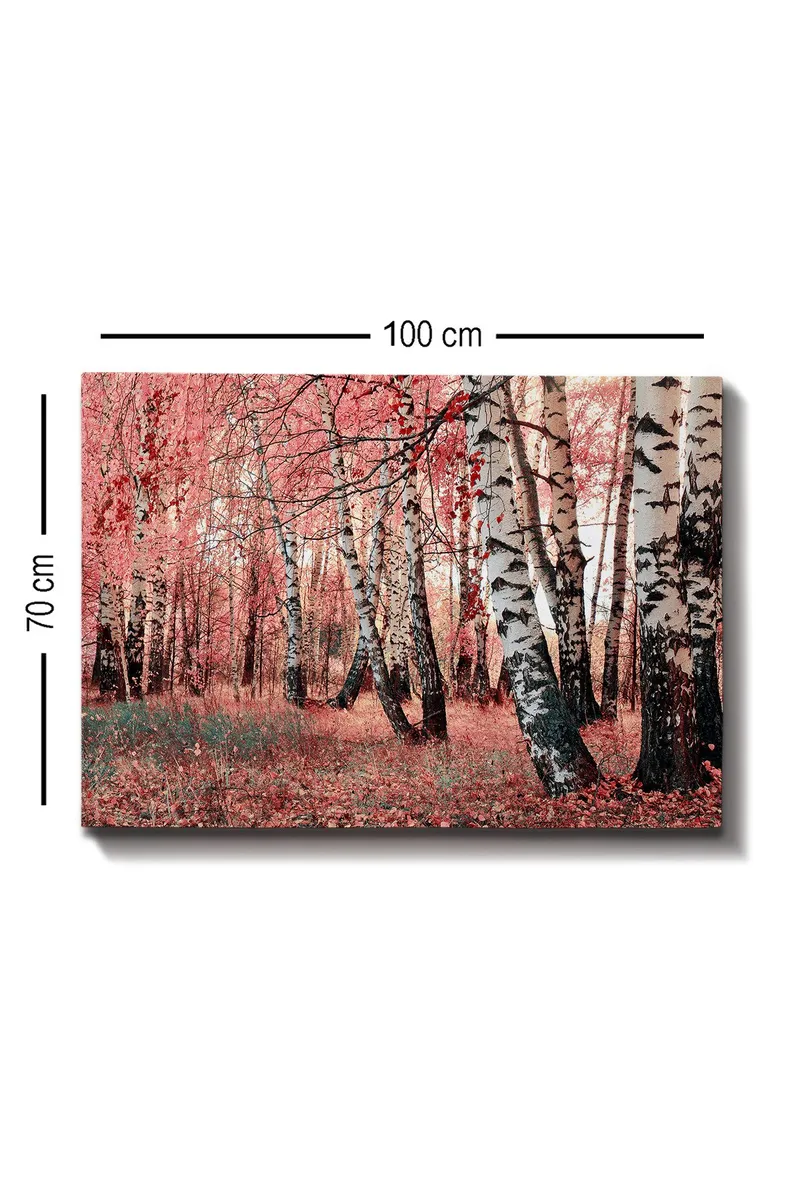 Lærred 70x100 cm - Drømmende skov med birketræer omgivet af lyserøde og røde blade - Lyserød / Hvid / Sort - Boligtilbehør - Billeder & kunst - Billeder på lærred