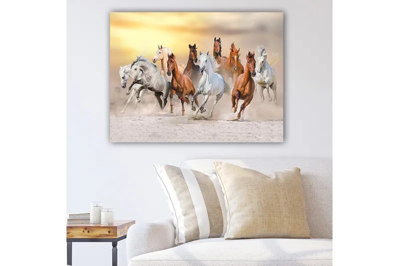 Lærred 70x100 cm - Dynamisk skildring af flere heste, der galoperer i et sandet miljø, Hvid / Brun / Grå