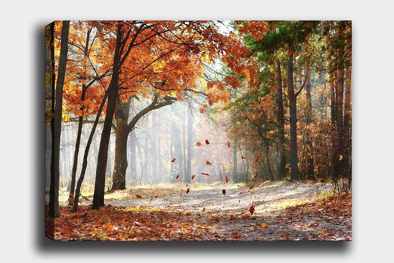 Lærred 70x100 cm - Efterårsskovlandskab med faldende blade i varme farver, Orange / Brun / Grøn
