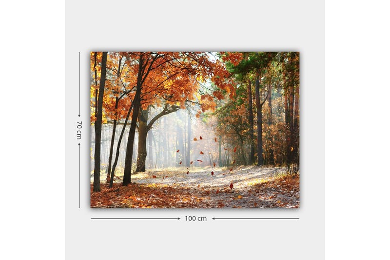 Lærred 70x100 cm - Efterårsskovlandskab med faldende blade i varme farver - Orange / Brun / Grøn - Boligtilbehør - Billeder & kunst - Billeder på lærred