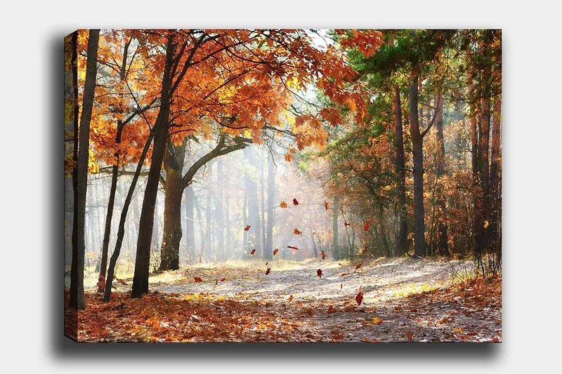 Lærred 70x100 cm - Efterårsskovlandskab med faldende blade i varme farver, Orange / Brun / Grøn