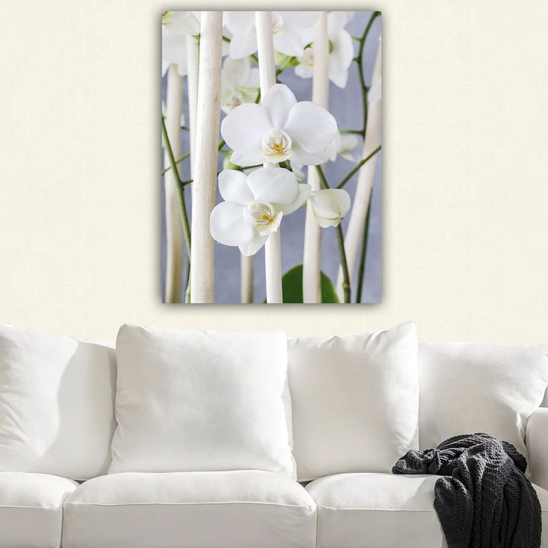 Lærred 70x100 cm - Elegant komposition af hvide orkideer, der vokser mellem lyse stængler - Hvid / Grøn - Boligtilbehør - Billeder & kunst - Billeder på lærred