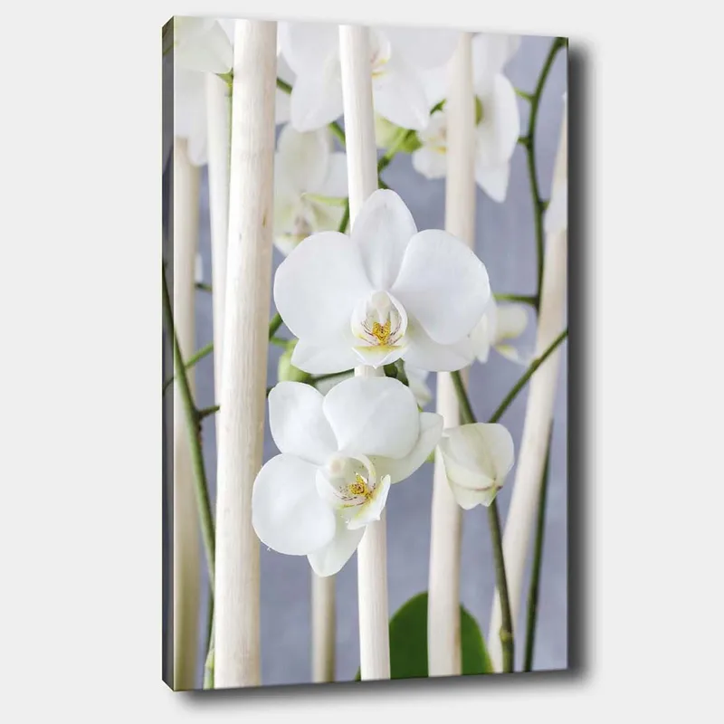 Lærred 70x100 cm - Elegant komposition af hvide orkideer, der vokser mellem lyse stængler, Hvid / Grøn