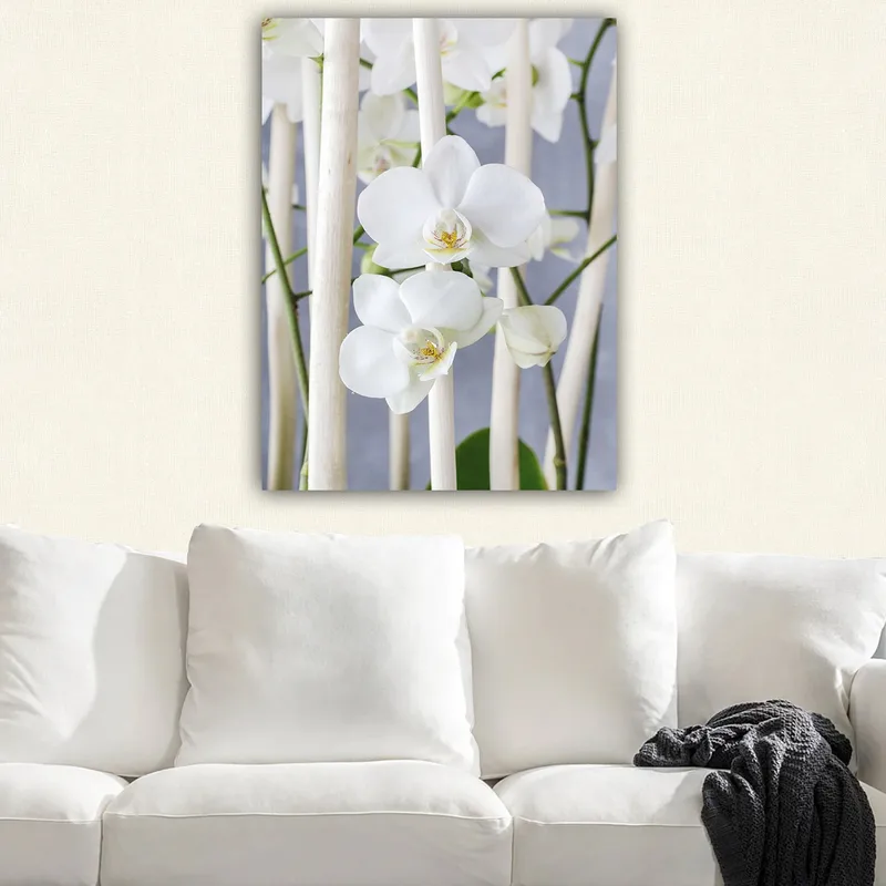 Lærred 70x100 cm - Elegant komposition af hvide orkideer, der vokser mellem lyse stængler - Hvid / Grøn - Boligtilbehør - Billeder & kunst - Billeder på lærred