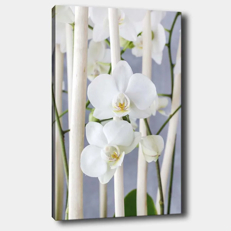 Lærred 70x100 cm - Elegant komposition af hvide orkideer, der vokser mellem lyse stængler, Hvid / Grøn