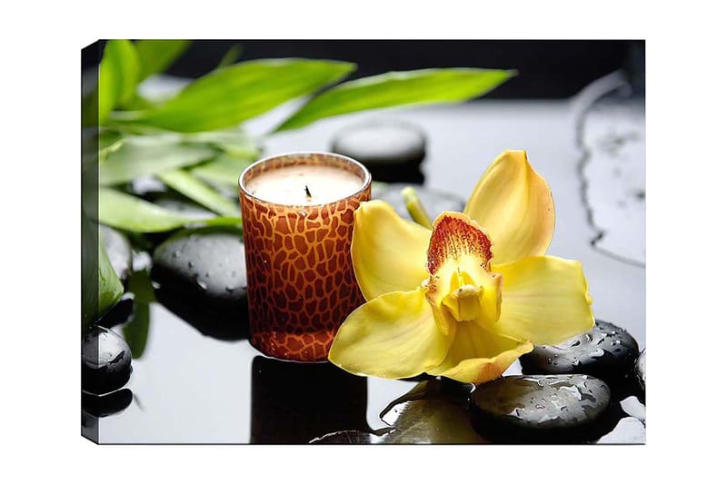 Lærred 70x100 cm - Elegant orkidéblomst i gul med duftlys og sorte sten i en harmonisk komposition, Gul / Sort / Grøn