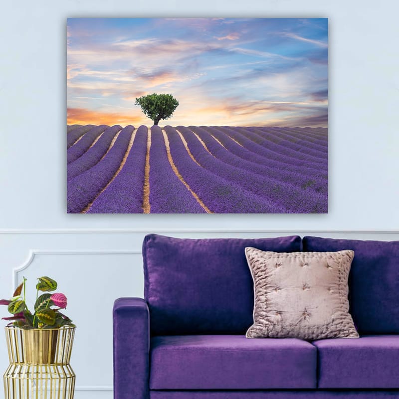 Lærred 70x100 cm - En ensom trækrone står stolt over en lavendelmark i bløde, bølgede rækker under en farverig himmel - Lilla / Grøn / Gul - Boligtilbehør - Billeder & kunst - Billeder på lærred