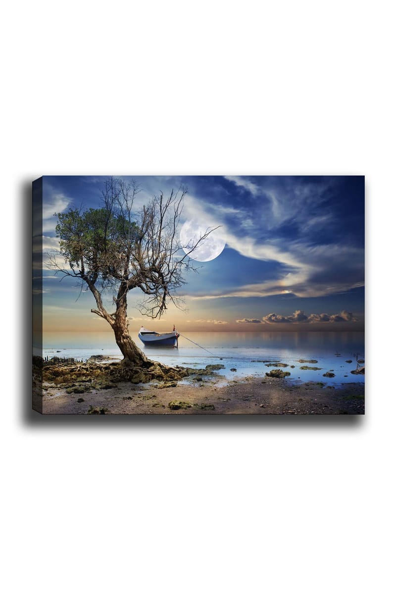 Lærred 70x100 cm - Ensom, død træstamme ved en stille vandoverflade med en båd i baggrunden under en stjerneklar himmel, Blå / Grøn / Beige