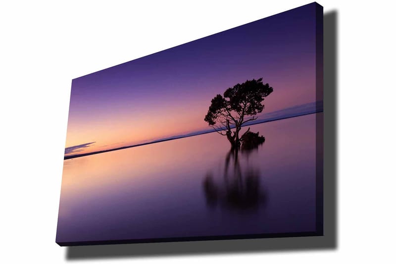 Lærred 70x100 cm - Ensom trætop spejlet i en stille sø under en farverig himmel i skumringen, Lilla / Orange / Sort