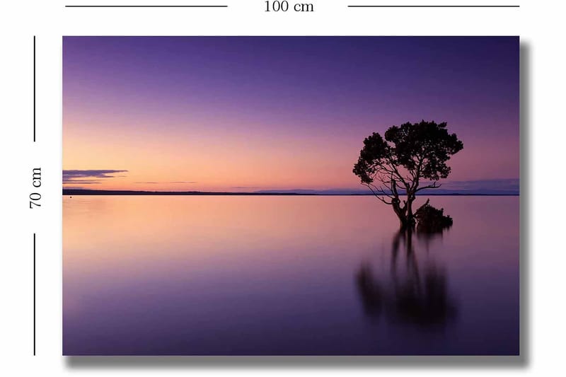 Lærred 70x100 cm - Ensom trætop spejlet i en stille sø under en farverig himmel i skumringen - Lilla / Orange / Sort - Boligtilbehør - Billeder & kunst - Billeder på lærred