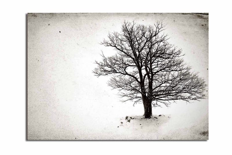 Lærred 70x100 cm - Et ensomt, bladløst træ i et snedækket landskab, Sort / Hvid