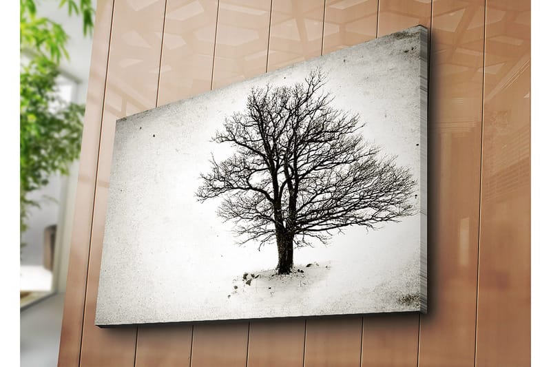 Lærred 70x100 cm - Et ensomt, bladløst træ i et snedækket landskab - Sort / Hvid - Boligtilbehør - Billeder & kunst - Billeder på lærred