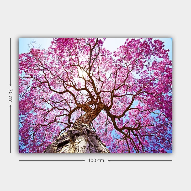 Lærred 70x100 cm - Et majestætisk kirsebærtræ med blomstrende lyserøde blomster, der strækker sig mod en klar blå himmel - Lyserød / Brun / Blå - Boligtilbehør - Billeder & kunst - Billeder på lærred