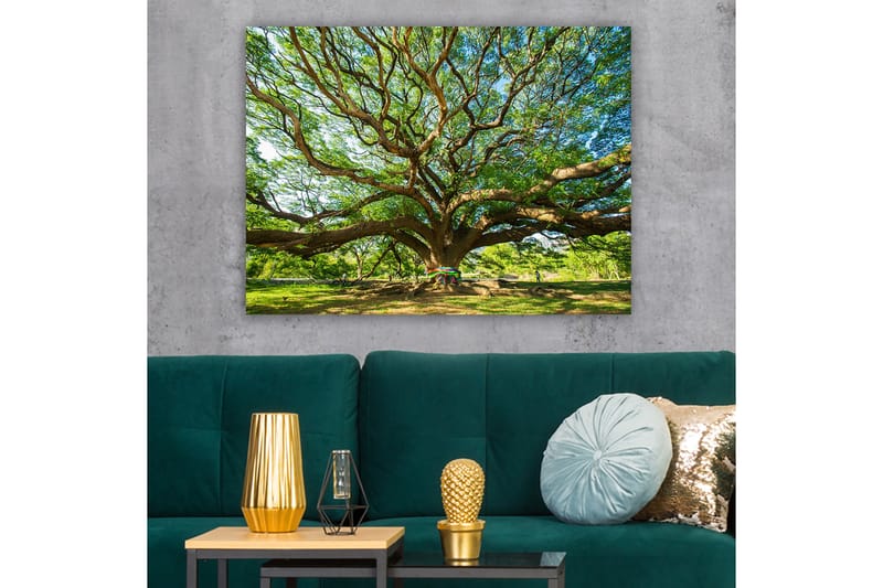 Lærred 70x100 cm - Et stort og majestætisk træ med spredte grene og frodigt grønt - Grøn / Brun - Boligtilbehør - Billeder & kunst - Billeder på lærred