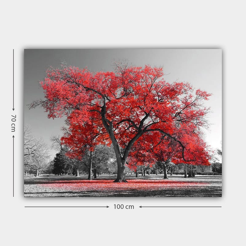 Lærred 70x100 cm - Et stort rødt træ i et sort-hvidt parklandskab - Rød / Sort - Boligtilbehør - Billeder & kunst - Billeder på lærred