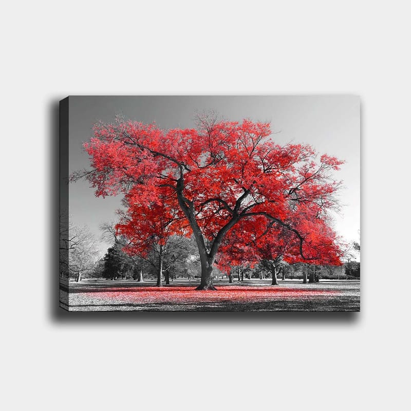 Lærred 70x100 cm - Et stort rødt træ i et sort-hvidt parklandskab, Rød / Sort
