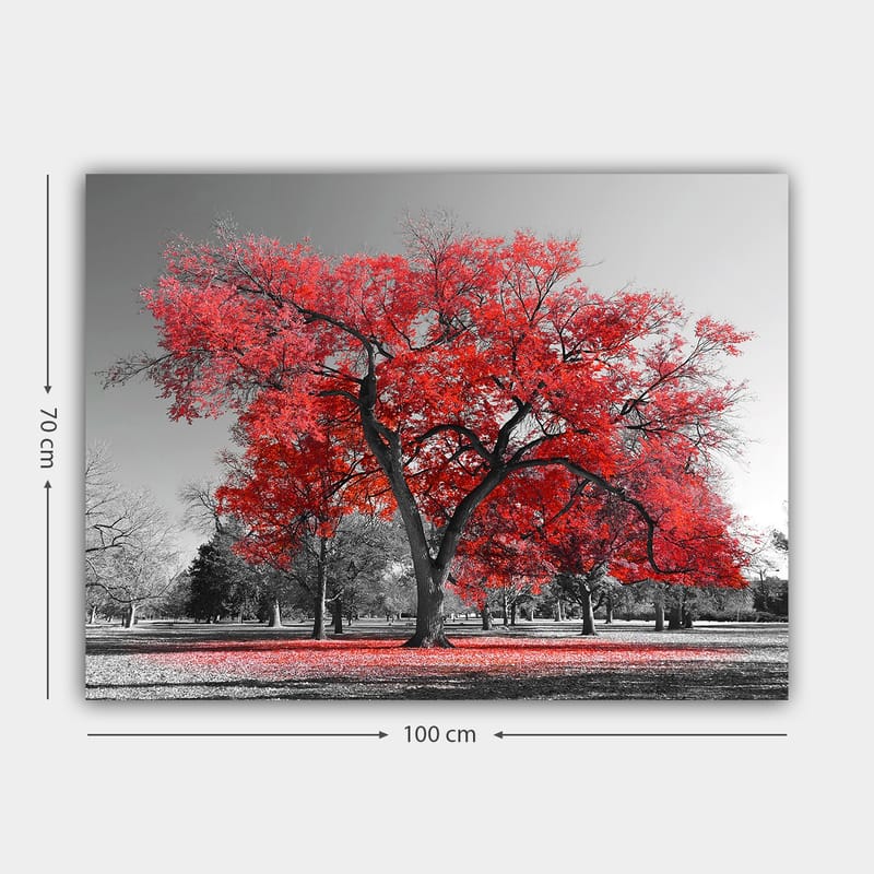 Lærred 70x100 cm - Et stort rødt træ i et sort-hvidt parklandskab - Rød / Sort - Boligtilbehør - Billeder & kunst - Billeder på lærred