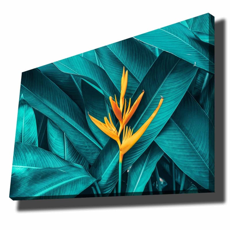 Lærred 70x100 cm - Farverig blomst omgivet af store, grønne blade, Turkis / Gul