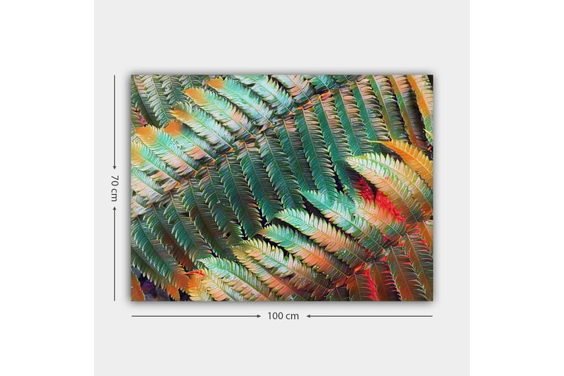 Lærred 70x100 cm - Farverig komposition af bregner med varierende nuancer af grønt og orange - Grøn / Orange - Boligtilbehør - Billeder & kunst - Billeder på lærred