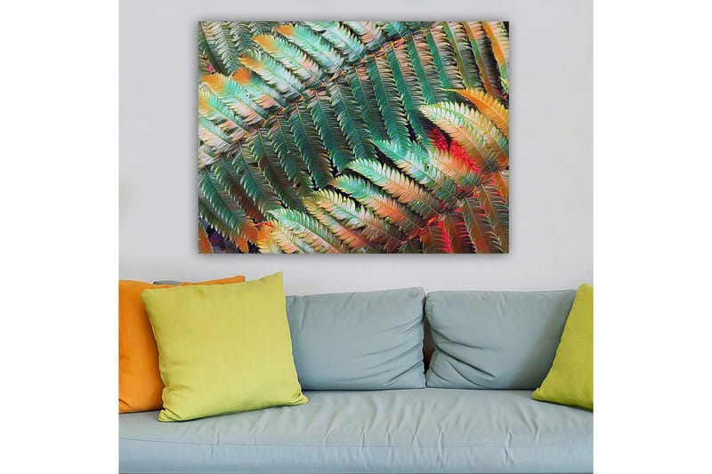 Lærred 70x100 cm - Farverig komposition af bregner med varierende nuancer af grønt og orange - Grøn / Orange - Boligtilbehør - Billeder & kunst - Billeder på lærred