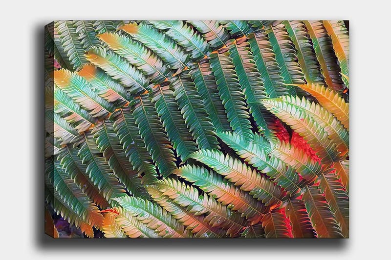 Lærred 70x100 cm - Farverig komposition af bregner med varierende nuancer af grønt og orange, Grøn / Orange