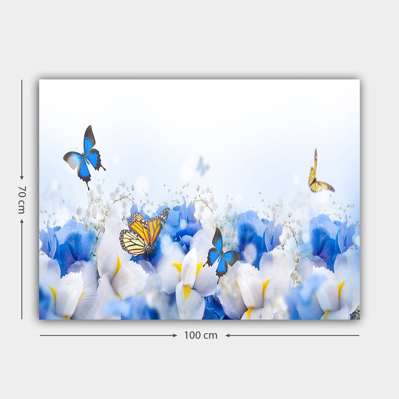 Lærred 70x100 cm - Farverig komposition af sommerfugle, der svæver over hvide og blå blomster - Blå / Hvid / Gul - Boligtilbehør - Billeder & kunst - Billeder på lærred