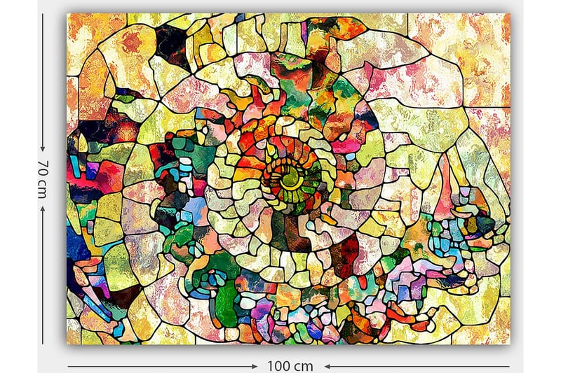Lærred 70x100 cm - Farverig muslingeskal med geometriske mønstre og spiraldetaljer - Grøn / Rød / Gul - Boligtilbehør - Billeder & kunst - Billeder på lærred