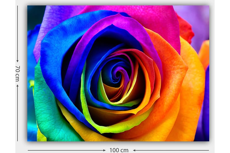 Lærred 70x100 cm - Farverig rose med spiraler i regnbuens farver - Blå / Lilla / Orange - Boligtilbehør - Billeder & kunst - Billeder på lærred