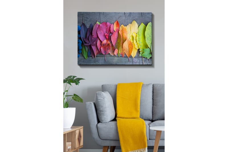 Lærred 70x100 cm - Farverig samling af efterårsblade i forskellige nuancer, der viser naturens skønhed - Rød / Gul / Grøn - Boligtilbehør - Billeder & kunst - Billeder på lærred