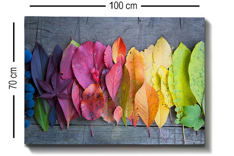 Lærred 70x100 cm - Farverig samling af efterårsblade i forskellige nuancer, der viser naturens skønhed - Rød / Gul / Grøn - Boligtilbehør - Billeder & kunst - Billeder på lærred