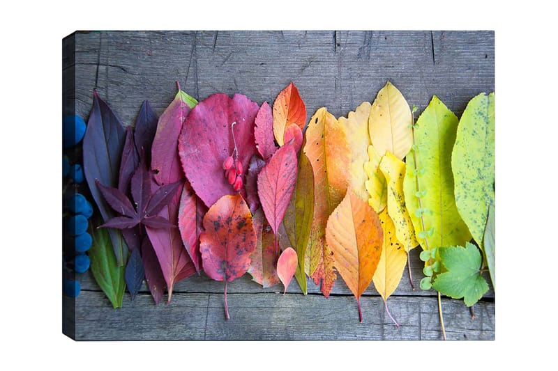 Lærred 70x100 cm - Farverig samling af efterårsblade i forskellige nuancer, der viser naturens skønhed, Rød / Gul / Grøn
