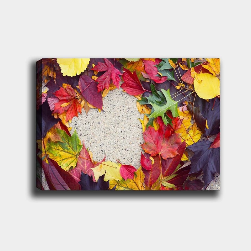 Lærred 70x100 cm - Farverig samling af efterårsblade i forskellige nuancer omkring en grå overflade - Rød / Gul / Grøn - Boligtilbehør - Billeder & kunst - Billeder på lærred