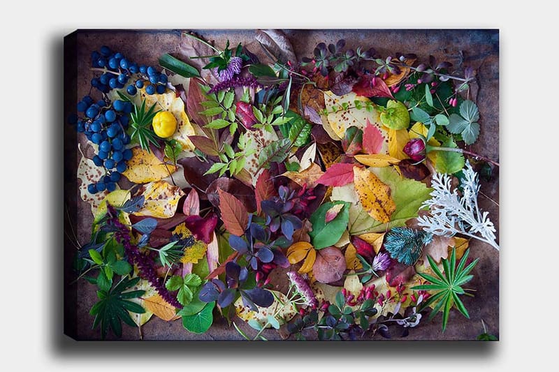 L ærred 70x100 cm - Farverig samling af efterårsblade og bær, Grøn / Rød / Gul