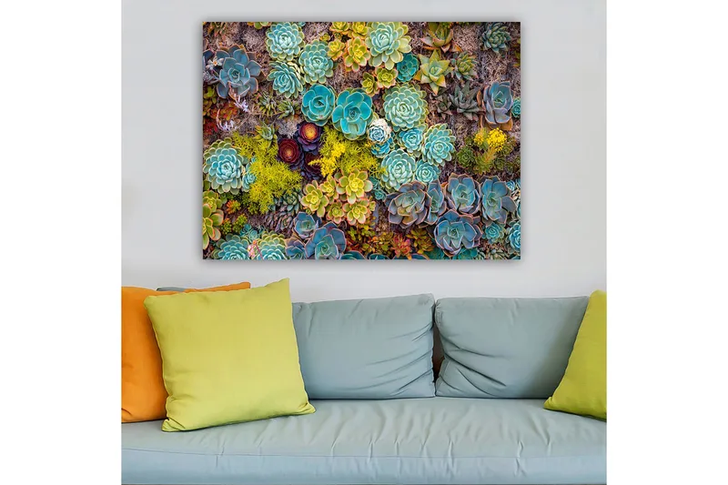 Lærred 70x100 cm - Farverig samling af forskellige sukkulenter i varierende former og nuancer - Turkis / Grøn / Gul - Boligtilbehør - Billeder & kunst - Billeder på lærred