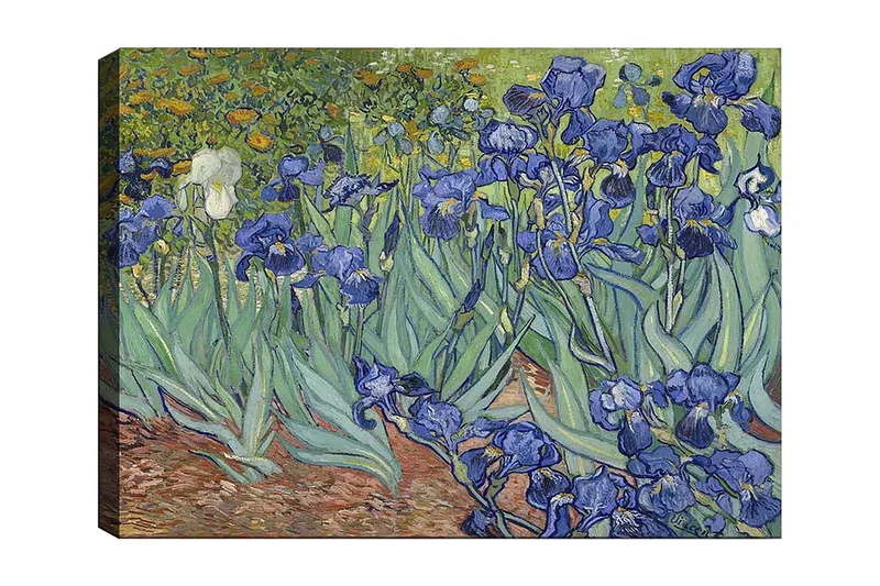 Lærred 70x100 cm - Farverig samling af irisblomster i forskellige blå nuancer, Blå / Grøn / Hvid