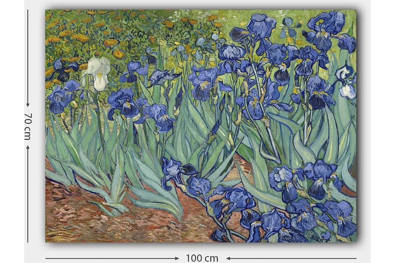 Lærred 70x100 cm - Farverig samling af irisblomster i forskellige blå nuancer - Blå / Grøn / Hvid - Boligtilbehør - Billeder & kunst - Billeder på lærred