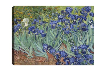 Lærred 70x100 cm - Farverig samling af irisblomster i forskellige blå nuancer - Blå / Grøn / Hvid - Boligtilbehør - Billeder & kunst - Billeder på lærred