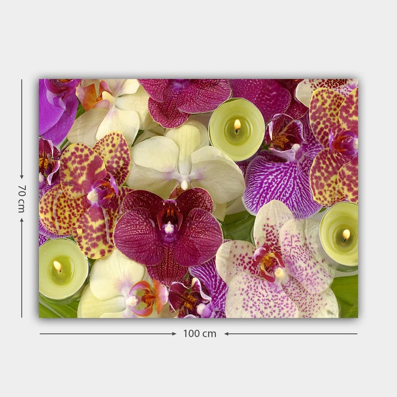 Lærred 70x100 cm - Farverig samling af orkideer i forskellige nuancer og former - Lilla / Hvid / Gul - Boligtilbehør - Billeder & kunst - Billeder på lærred